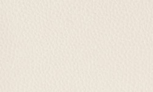 COLE HAAN COLE HAAN EVIE LEATHER SADDLE BAG