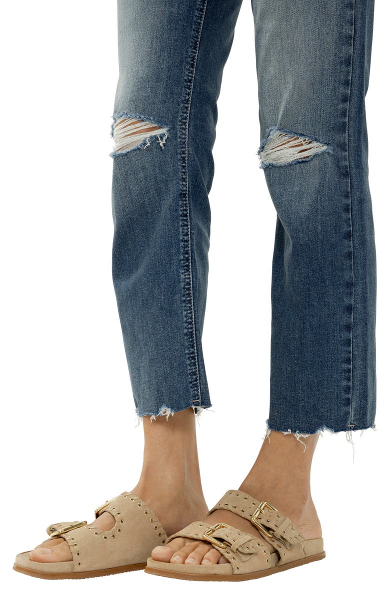 Silver Jeans Co. Avery Curvy Distressed Crop Straight Leg Jeans, Alternate, color, 