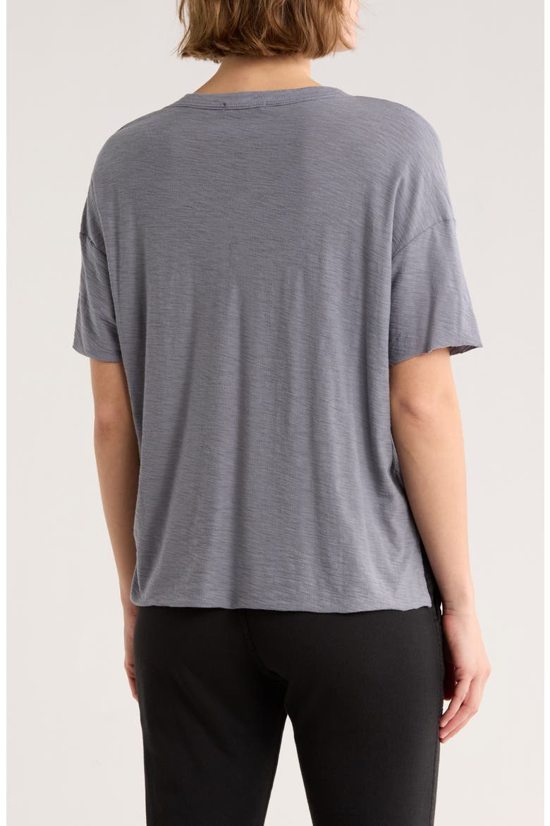Crewneck Pocket T-Shirt, Alternate, color, NORTH