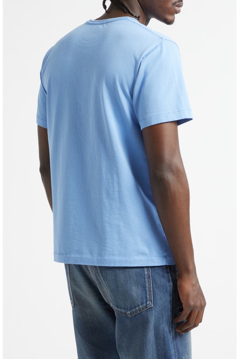 Among the Flowers Embroidered T-Shirt, Alternate, color, PALE BLUE