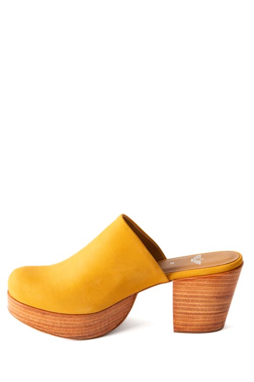 Fortress Ava Suede Clog Mule In Multi