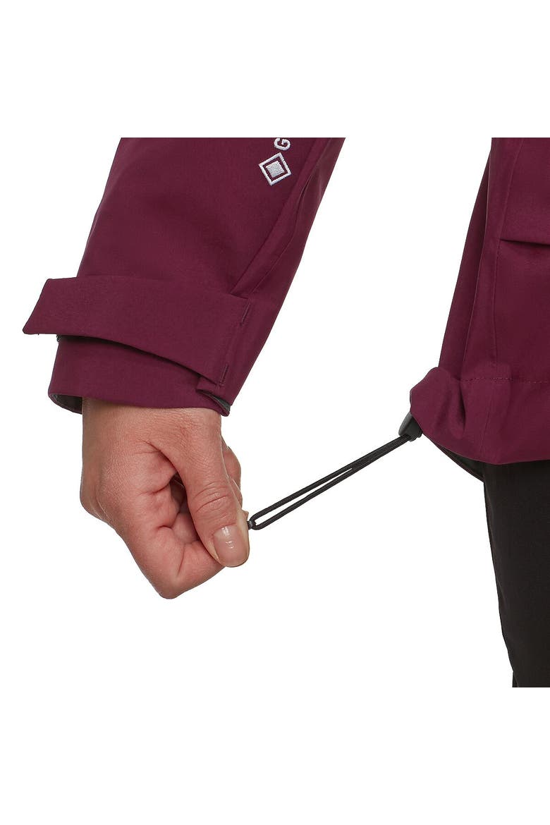 Crater Pro Hs Hooded Jacket - Women's, Alternate, color, Vin/Black