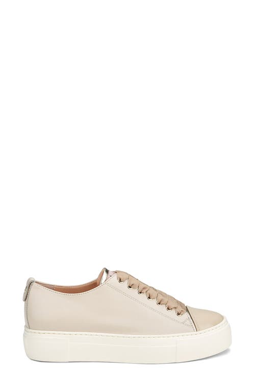 Agl Attilio Giusti Leombruni Agl Mollie Platform Sneaker In Talc-suga-sand-milk