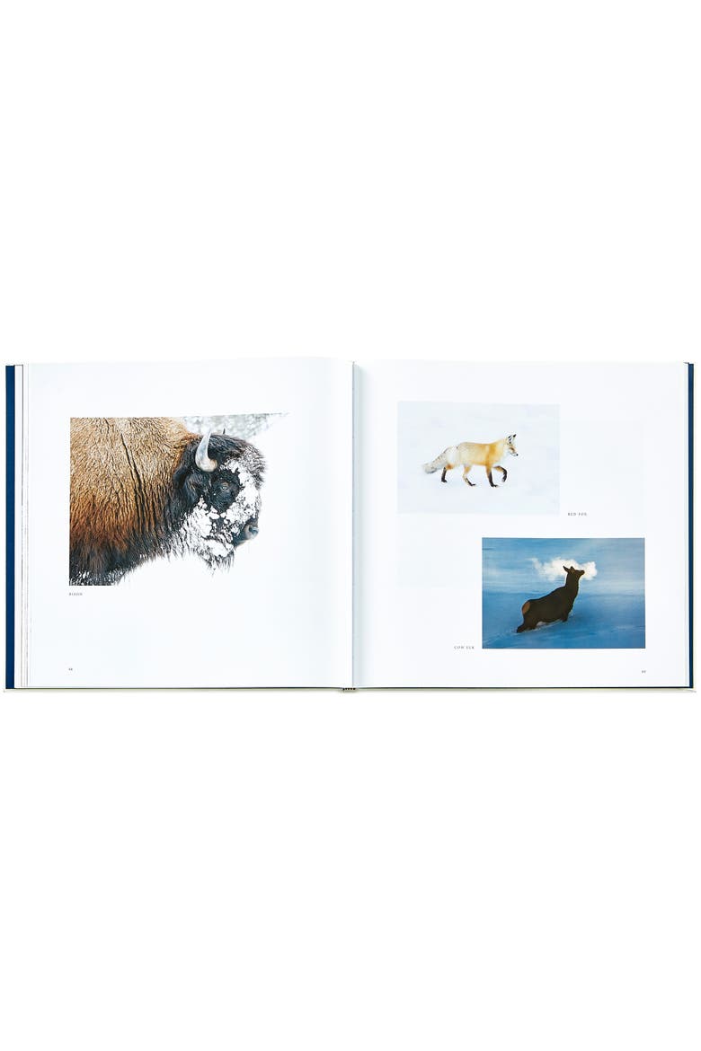 Yellowstone A Land of Wild and Wonder Leather Edition, Alternate, color, IVORY
