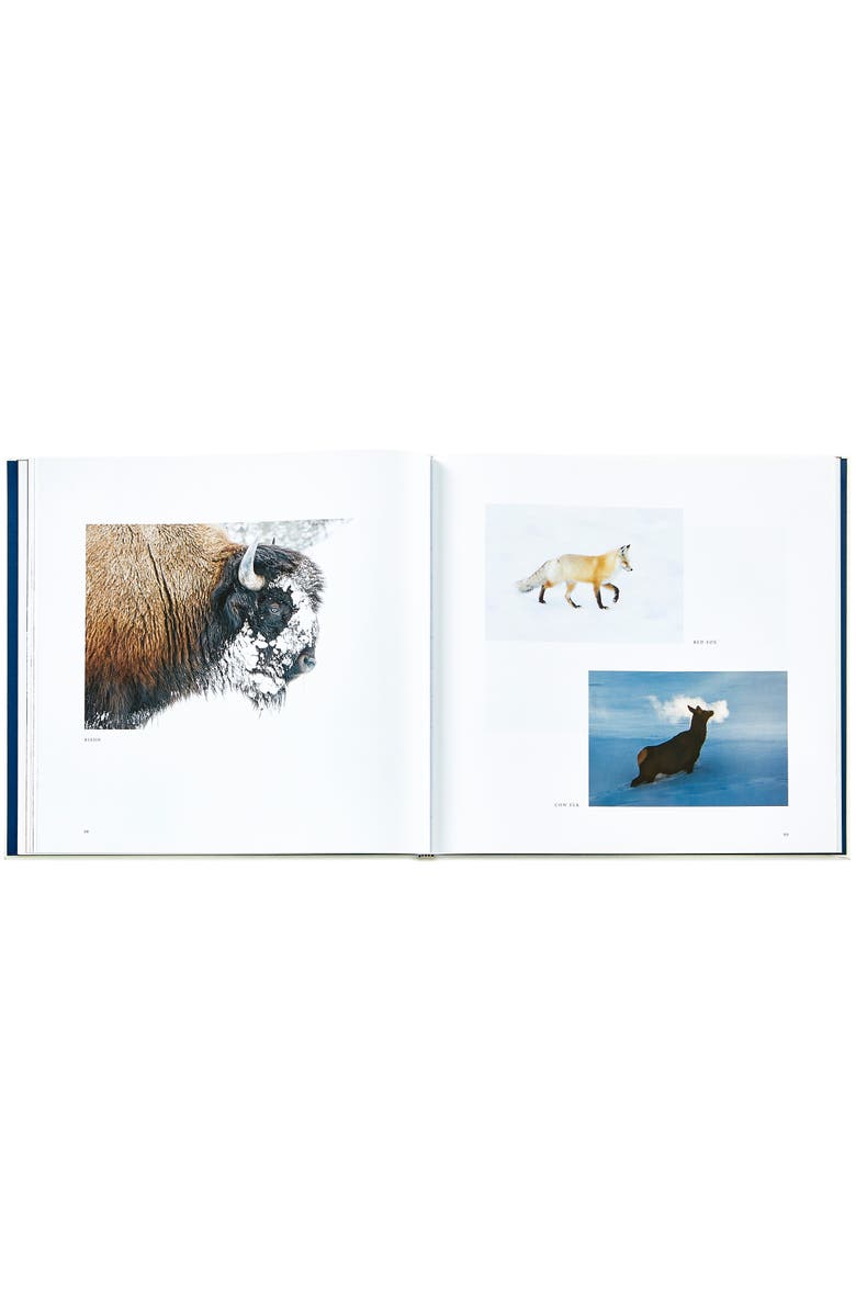 Graphic Image Yellowstone A Land of Wild and Wonder Leather Edition, Alternate, color, Ivory
