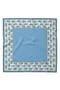 selected Light Blue
