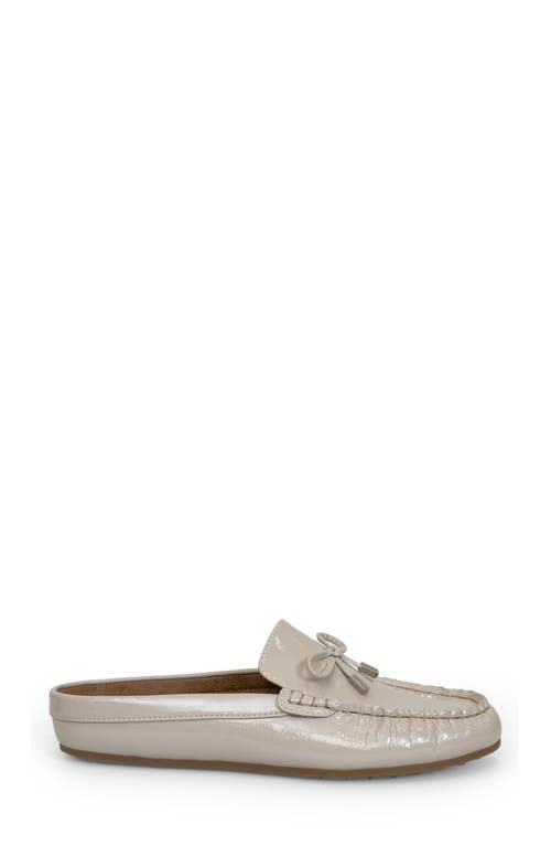Aerosoles Daffodil Mule In Gray
