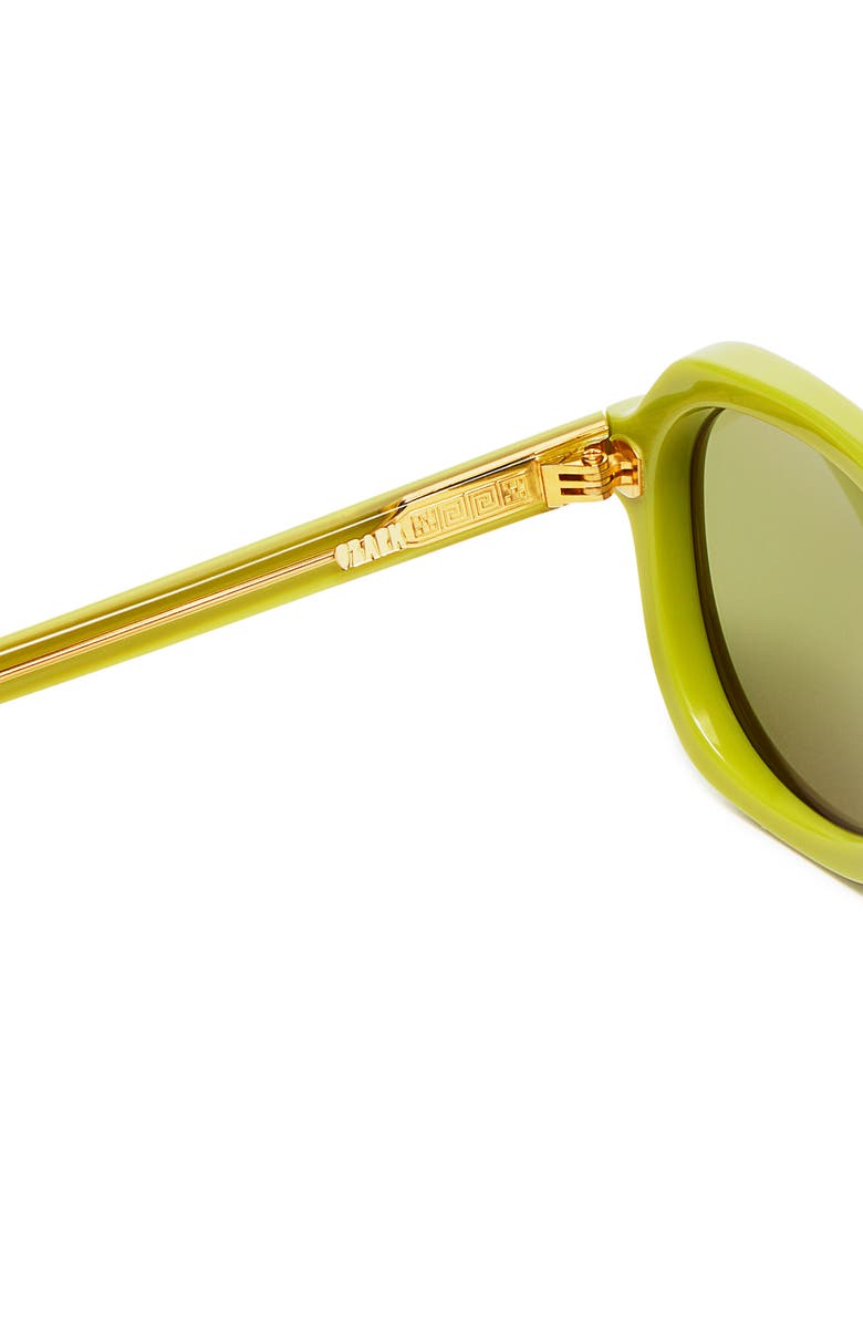 VADA Ozark Sunglasses, Alternate, color, Swamp