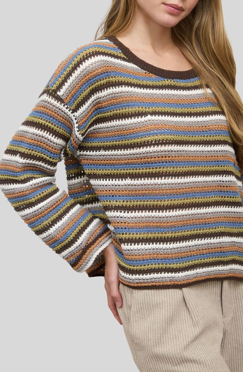 Blu Pepper Mulitcolor Stripe Sweater, Alternate, color, Brown Multi