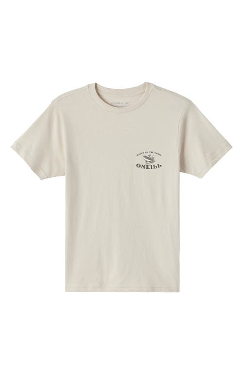 O'neill Kids' Surf Cats Graphic T-shirt In White