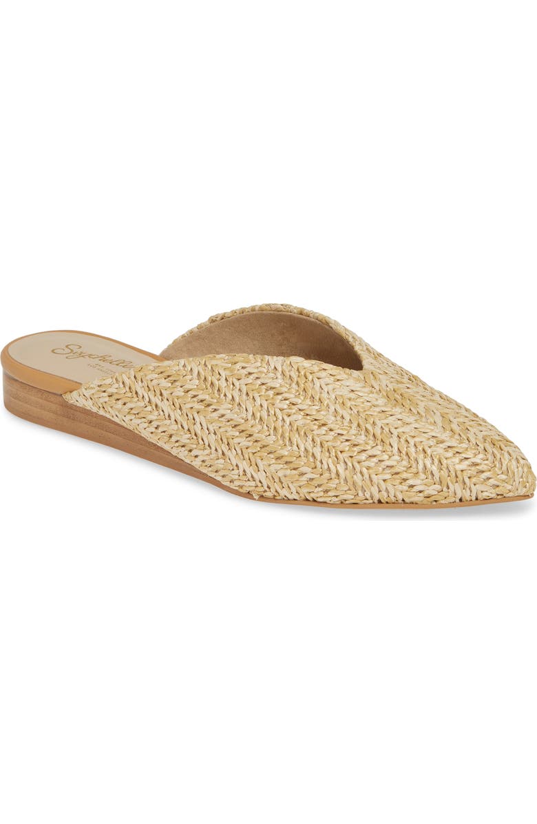 Seychelles Quintessential Pointed Toe Mule, Main, color,