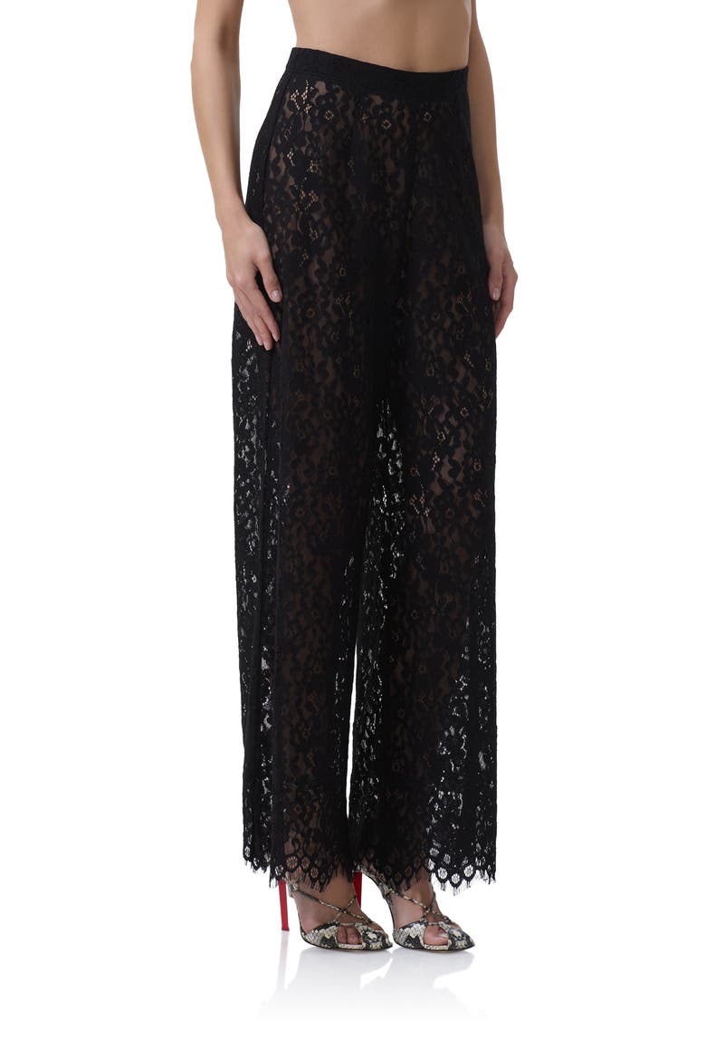 Pamela Sheer Lace Pants, Alternate, color, NOIR