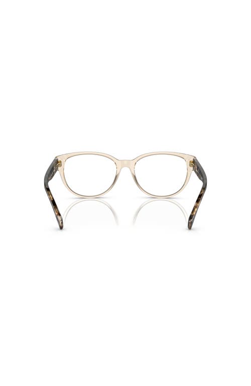Ralph 52mm Oval Optical Glasses In Brown