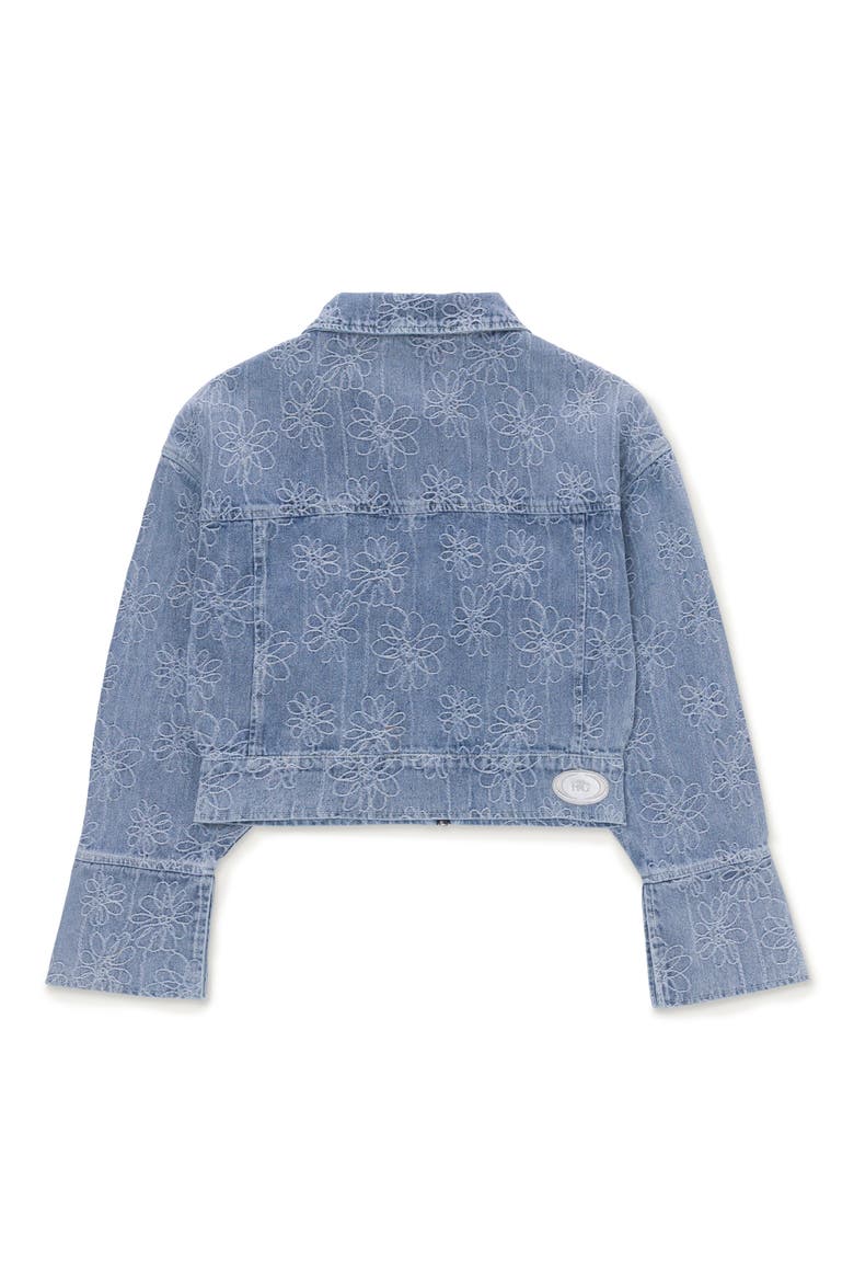 Crop Denim Jacket, Alternate, color, LIGHT BLUE