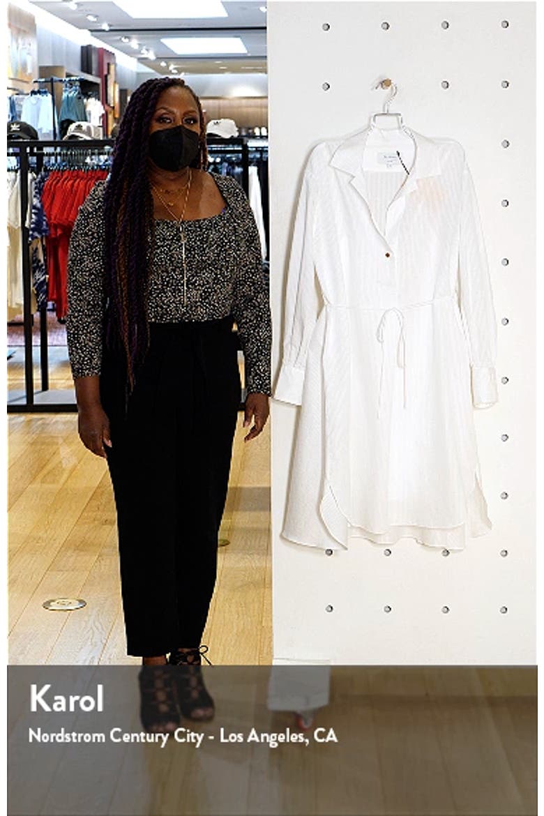 Tonal Stripe Long Sleeve Cotton & Linen Shirtdress video
