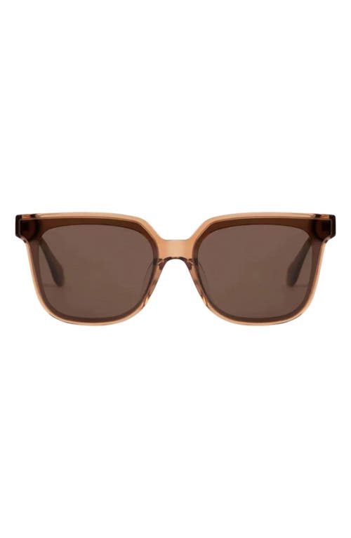 Mohala Eyewear Malia 55mm Low Nose Bridge Wide Width Square Sunglasses In Brown