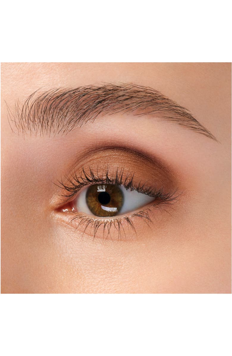 Anna Sui Matte Eye Color, Alternate, color, Adorable Reddish Brown 501