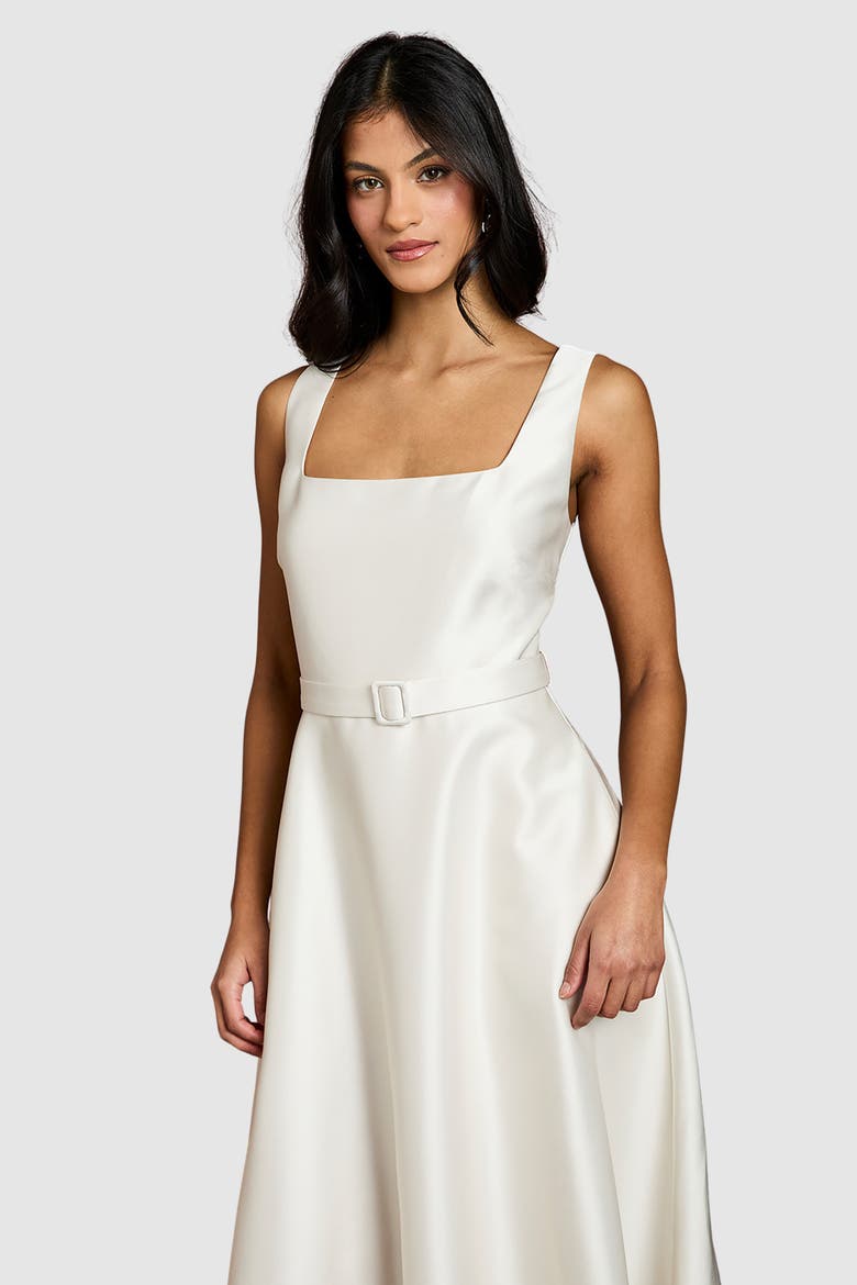 Petite Belted Midi Dress, Alternate, color, Champagne
