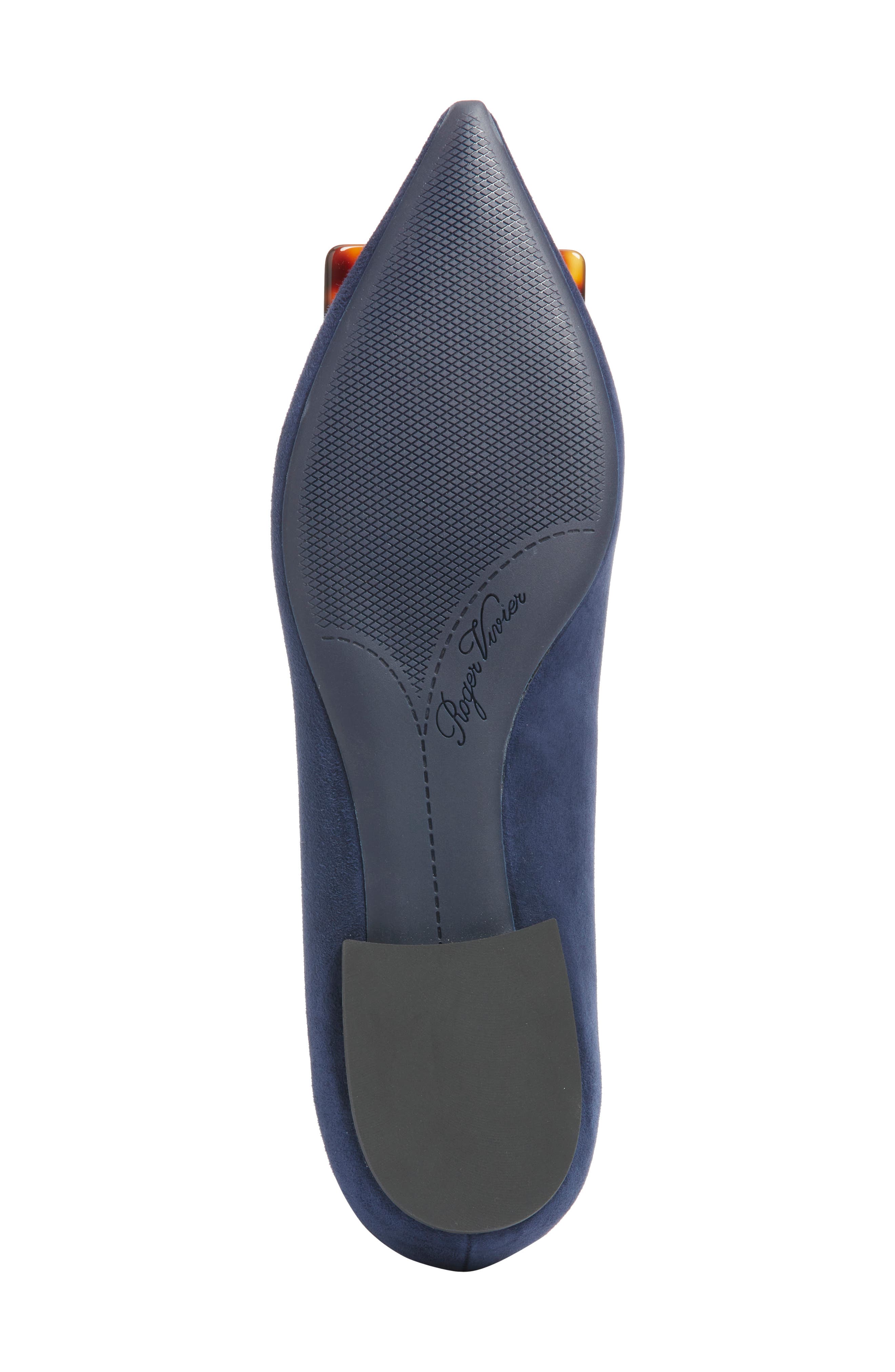 Roger Vivier Gommettine Pointed Toe Ballet Flat, Alternate, color, Galassia Scuro