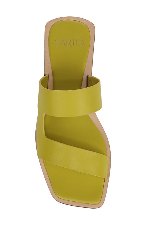 SARTO BY FRANCO SARTO SARTO BY FRANCO SARTO EMILY SLIDE SANDAL 