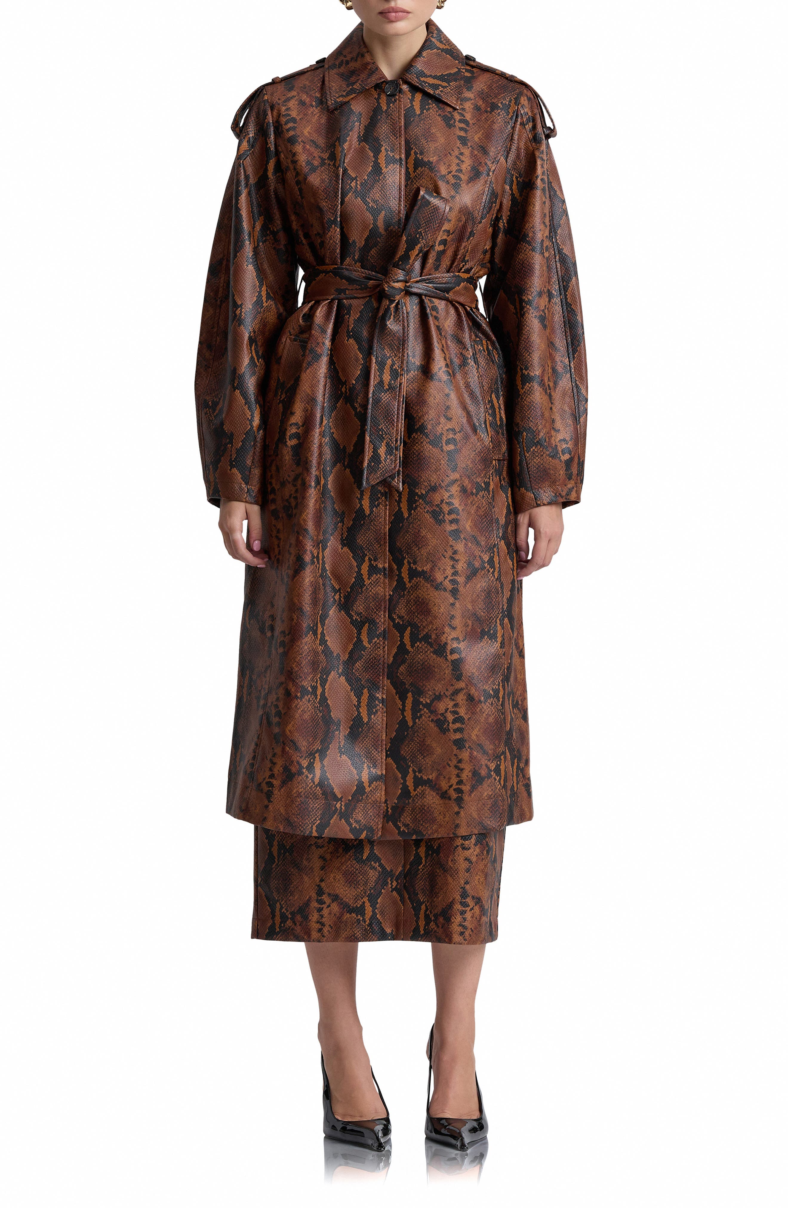selected BROWN-BLACK PYTHON