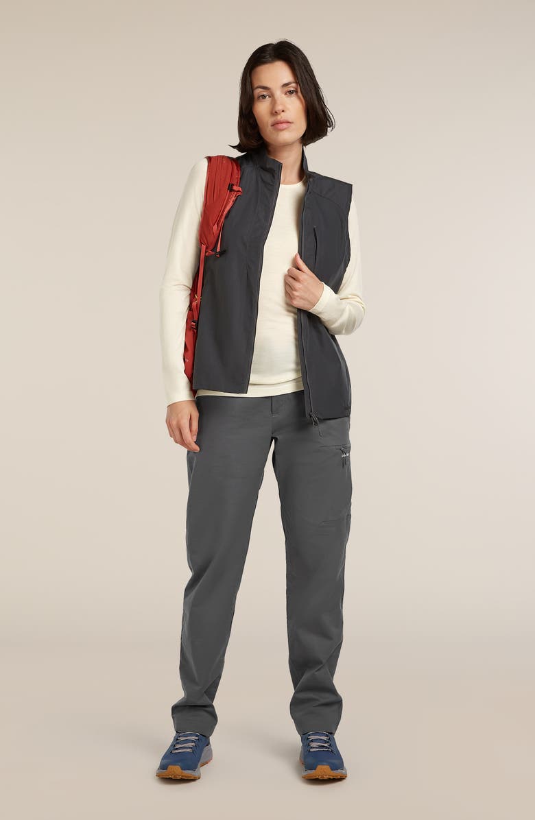 Icebreaker Oasis Long Sleeve Merino Wool Top, Alternate, color, Undyed