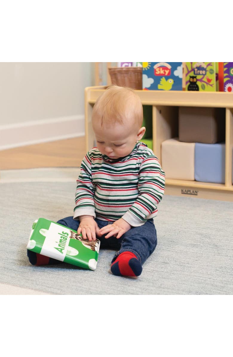 Kaplan Early Learning Company Real Photo Vinyl Book Set 1 - Set of 4, Alternate, color,