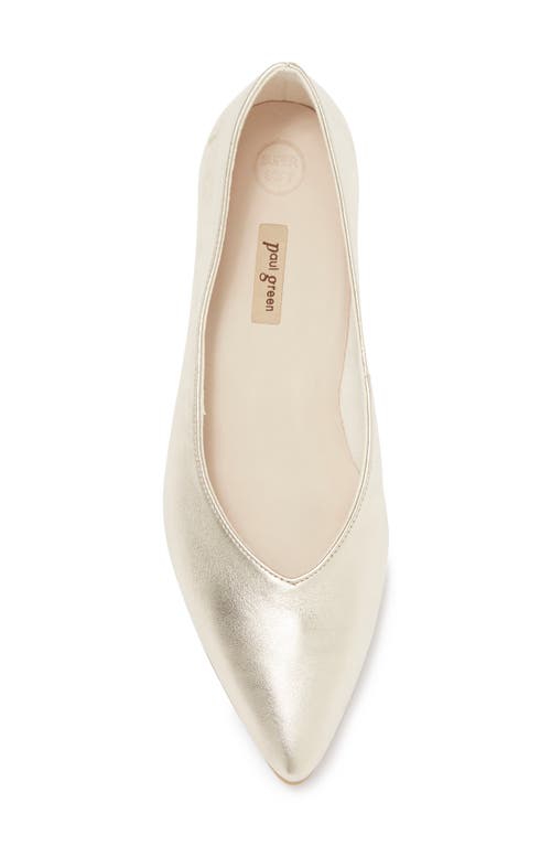 Paul Green Tia Pointed Flat