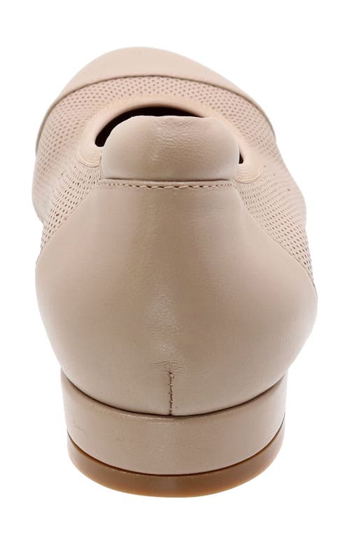 David Tate Newton Cap Toe Flat In Taupe
