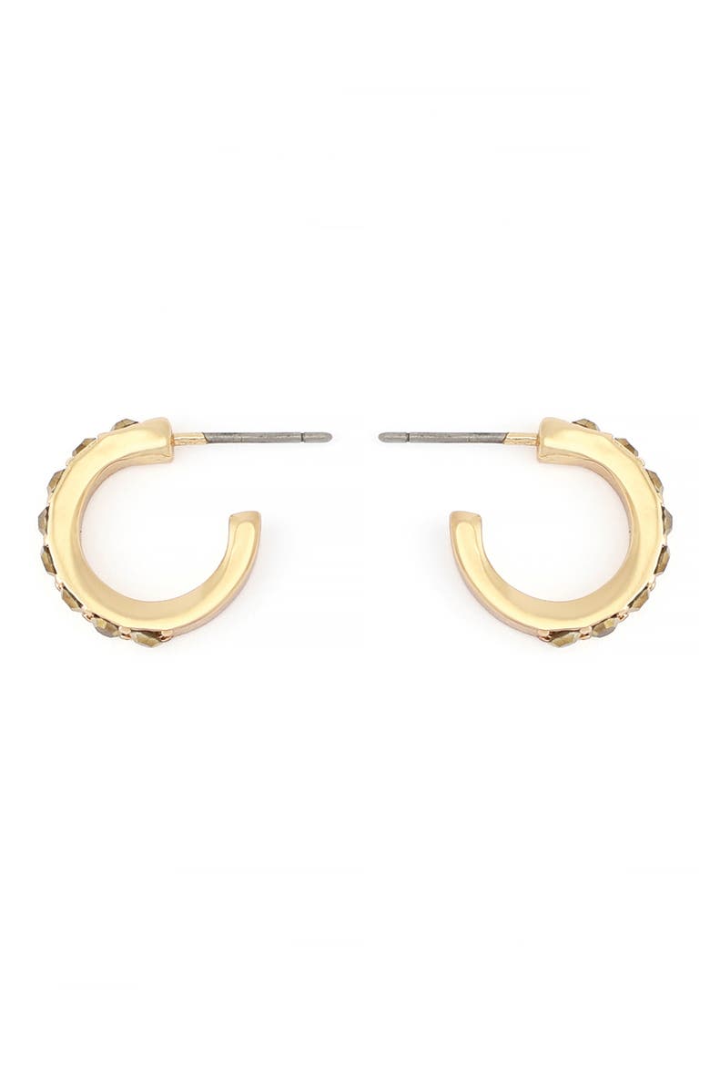 Stone Huggie Hoop Earrings, Alternate, color, TOPAZ