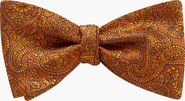 Beau Ties of Vermont Pembroke Bow Tie