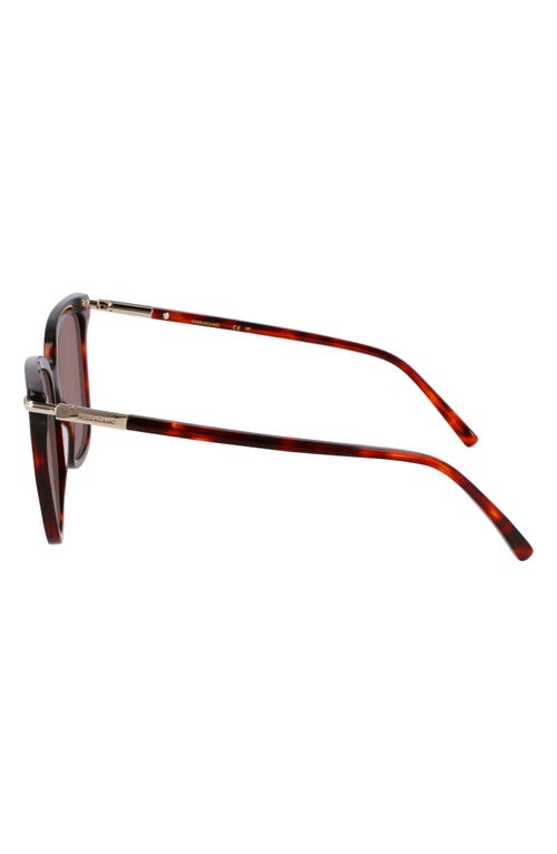Ferragamo Prisma 56mm Modified Butterfly Sunglasses In Red Tortoise