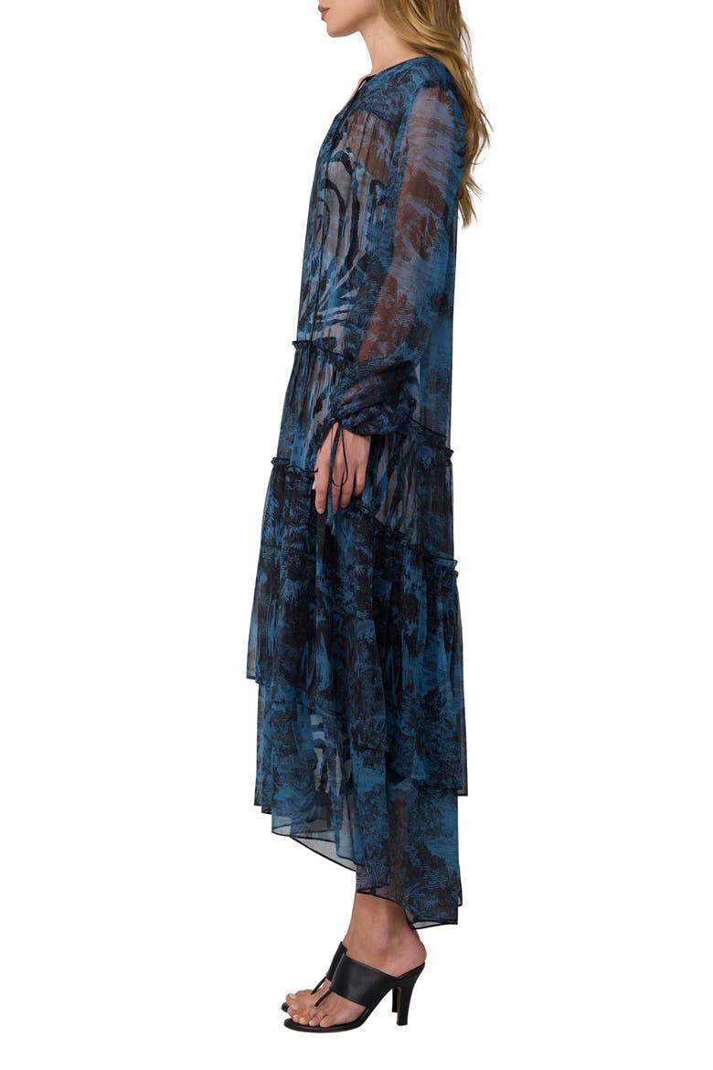 Zena Long Sleeve Maxi Dress, Alternate, color, PAYSAGE CARFU ZEBRA MIST
