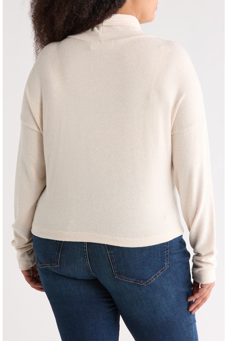 Cowl Neck Long Sleeve Brushed Knit Crop Top, Alternate, color, OATMEAL
