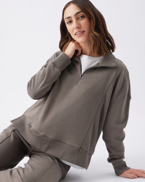 Ripe Maternity Comfortable Terry Nursing Sweatshirt For Moms In Brown