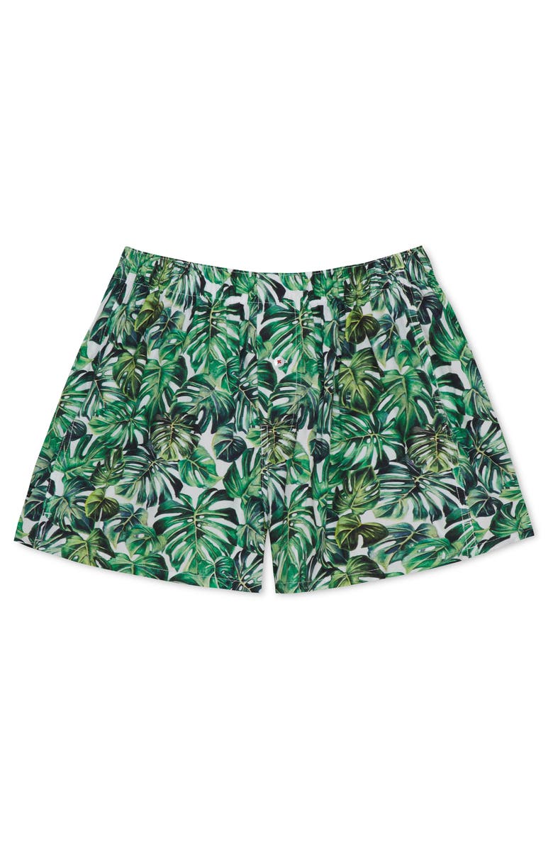 Druthers NYC Organic Cotton Monstera Boxer Short, Main, color, Green
