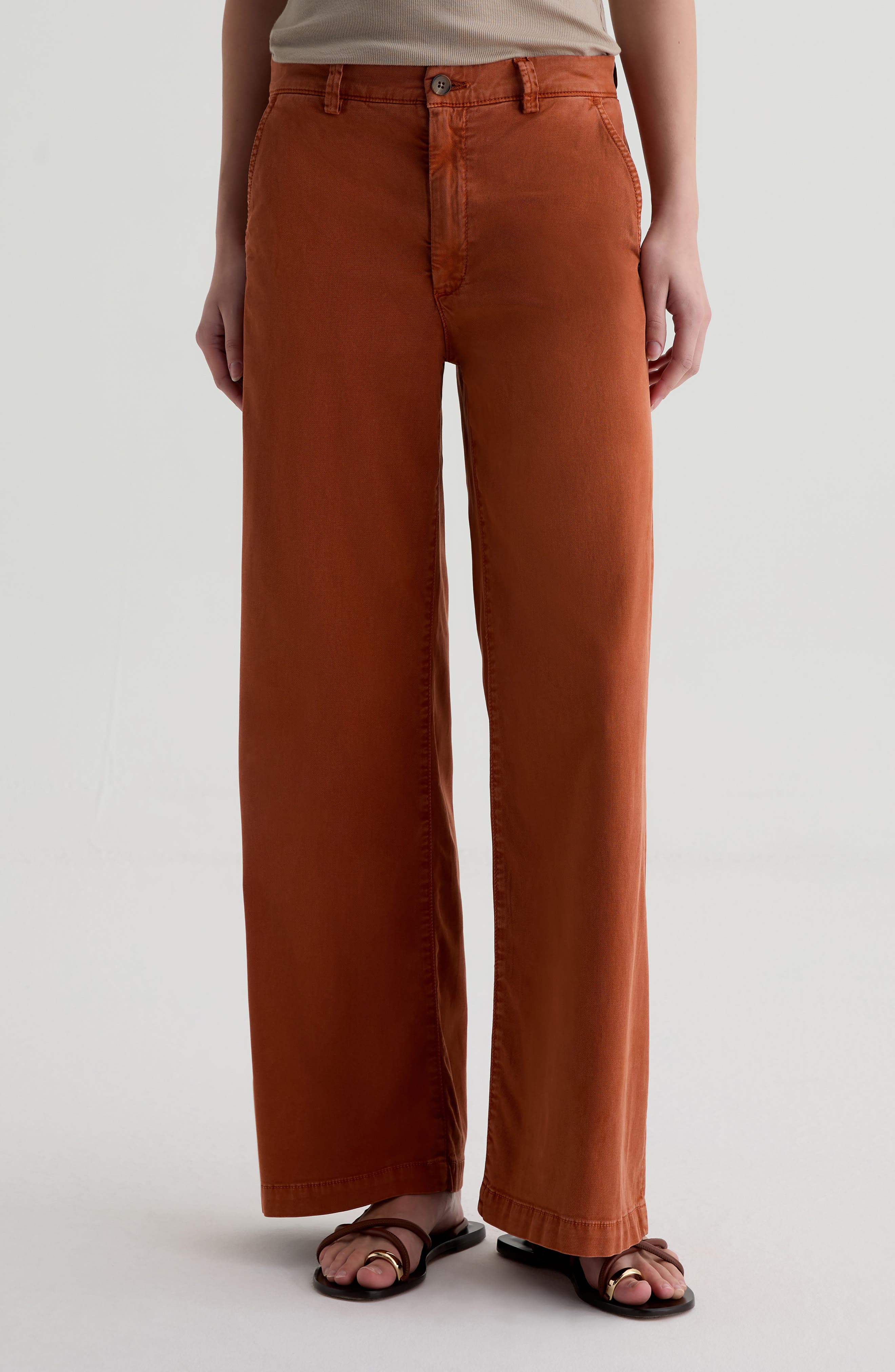 AG Caden Twill Wide Leg Pants in Sulfur Cavern Clay 