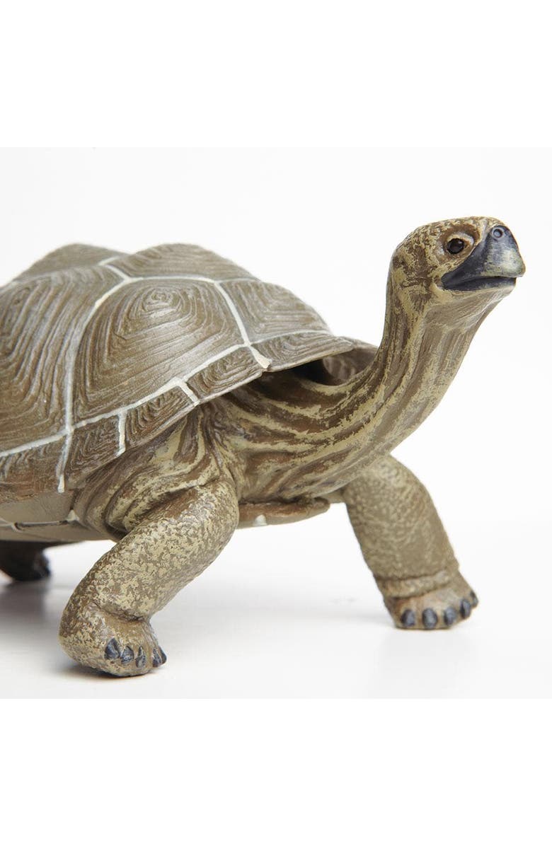 Safari Ltd. Tortoise Toy, Alternate, color, NO COLOR