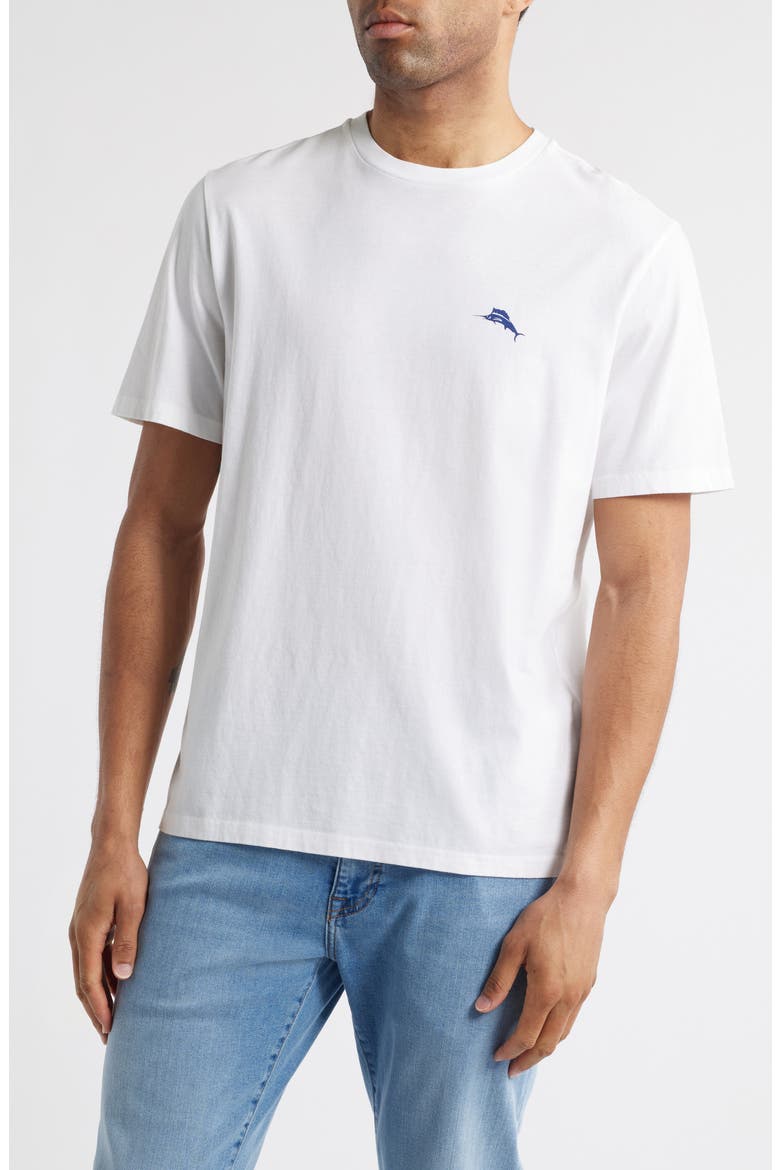 Americana Boardblock Cotton T-Shirt, Main, color, WHITE