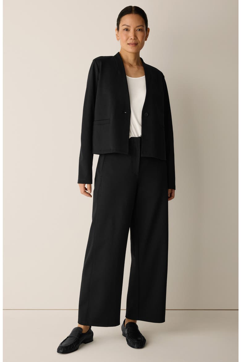 Wide Leg Ankle Pants, Alternate, color, BLACK