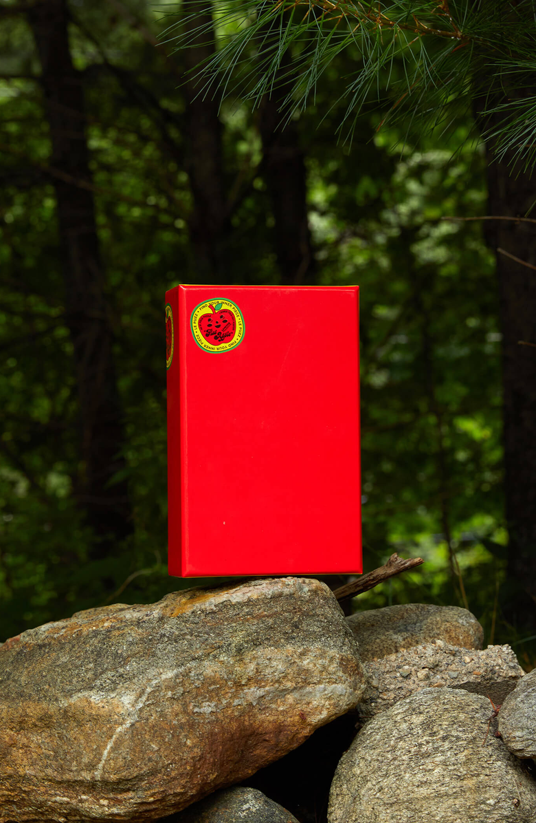 Le Puzz Flat Apple 81 Piece Mini Jigsaw Puzzle, Alternate, color, NO COLOR