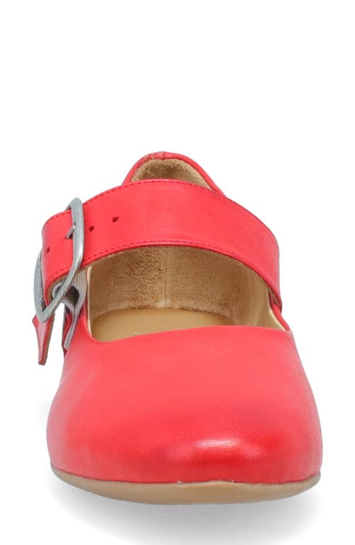 Miz Mooz Kaity Flat