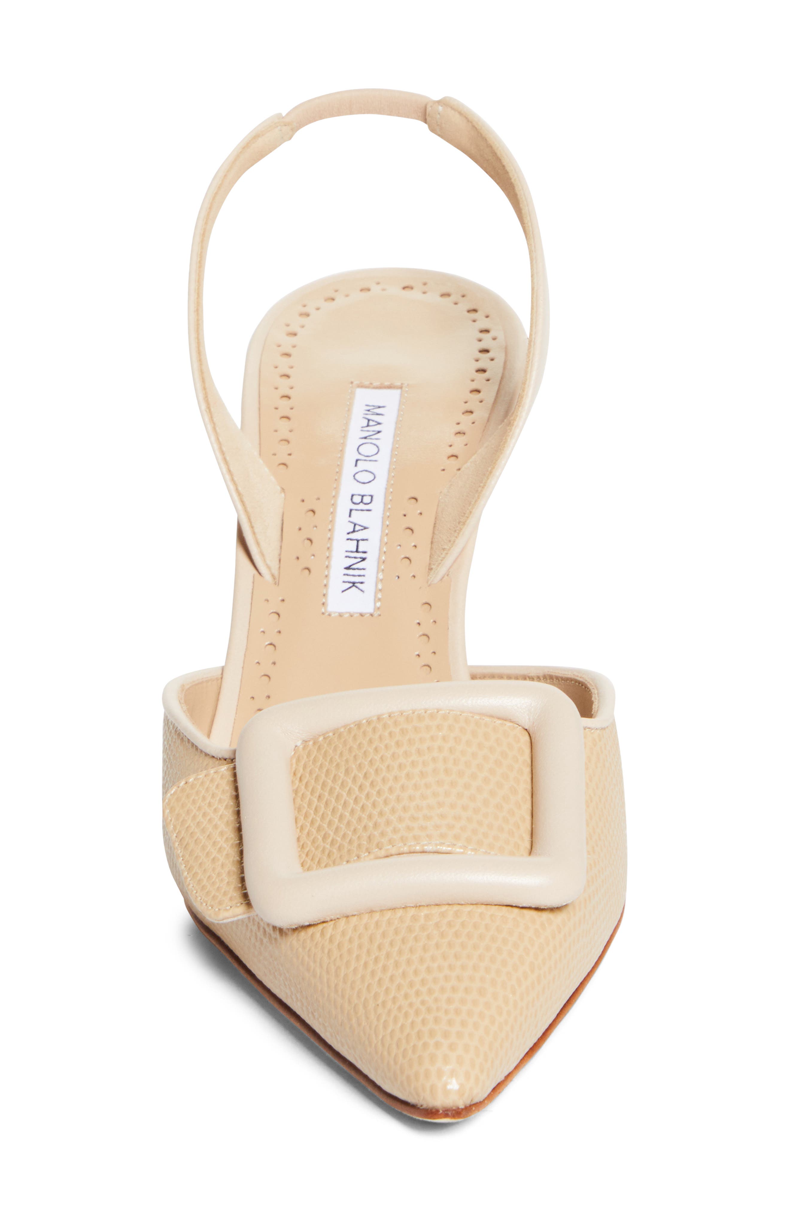 Manolo Blahnik Mayslibi Slingback Pump, Alternate, color, Ypri 9079/Mnud 2601