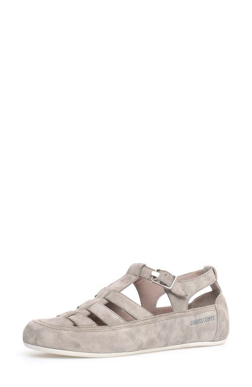 Candice Cooper Rock T-bar Fisherman Sandal In Slate