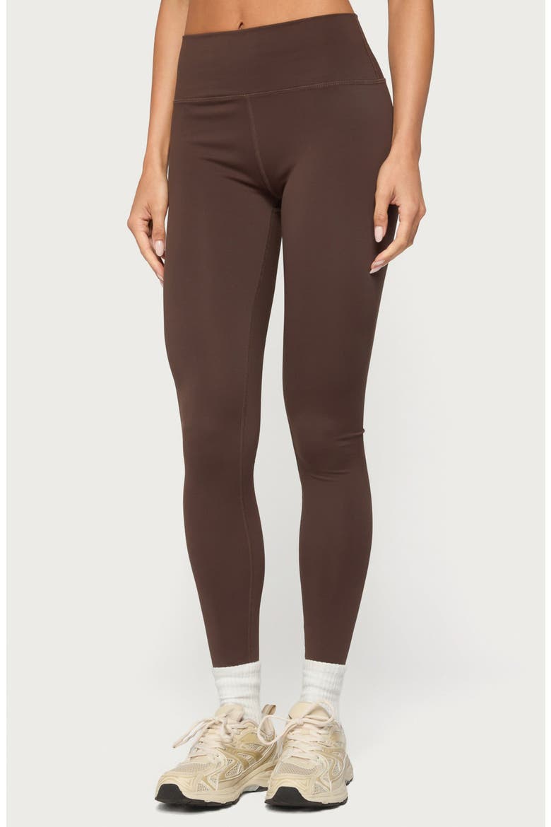 Faery High Waist Leggings, Alternate, color, BROWN