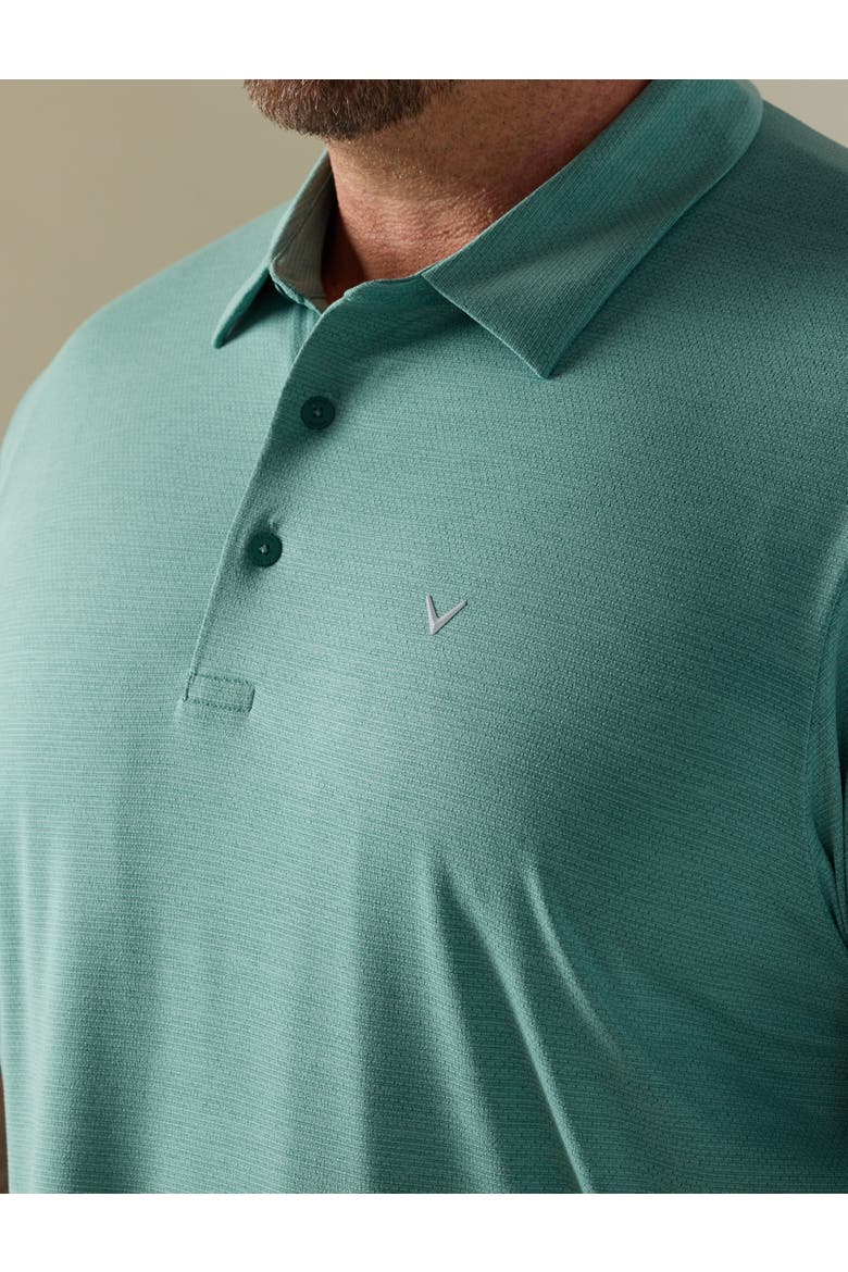 Big & Tall Heathered Jacquard Polo Shirt V2, Alternate, color, GALAPAGOS HEATHER