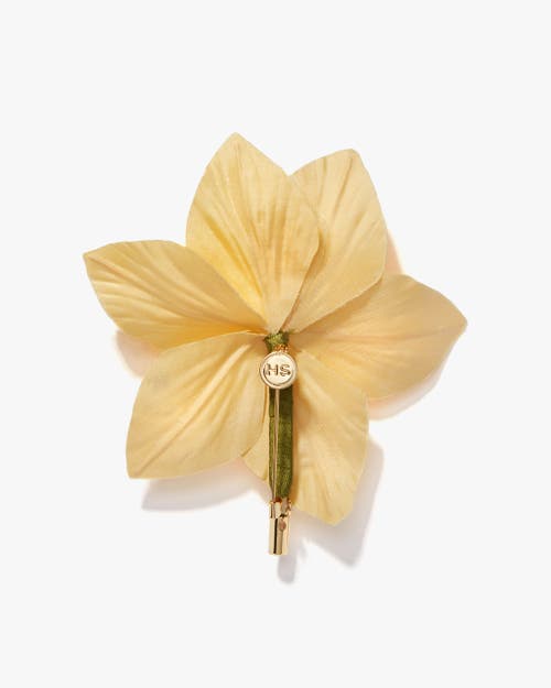 Helena Simon The Daffodil Floral Brooch In Yellow