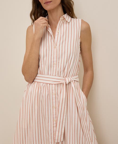 Pact Organic Cotton Sunset Lightweight Cotton Sleeveless Shirtdress In Zuma Stripe