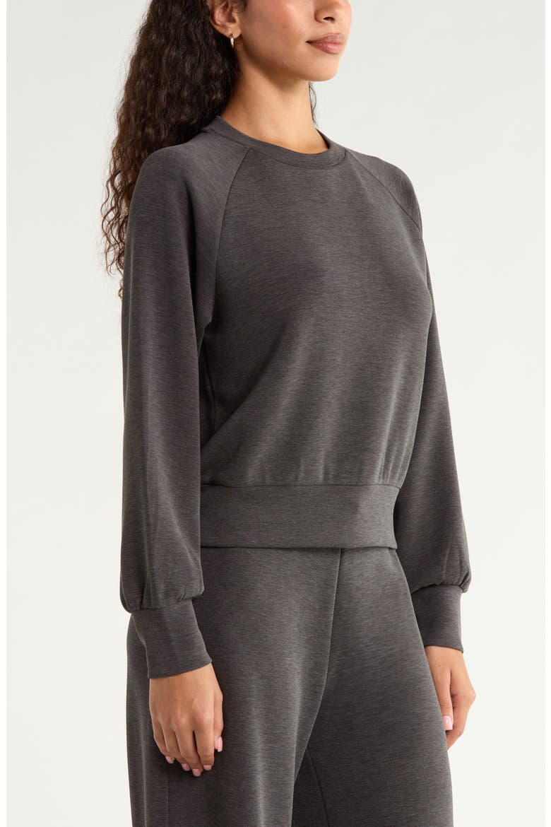 Soft Luxe Crewneck Top, Alternate, color, BROWN MOLE HEATHER