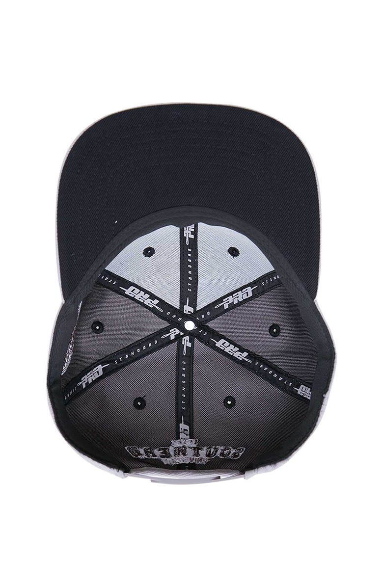 PRO STANDARD Men's Pro Standard  Gray Texas Southern Tigers Evergreen Mascot Snapback Hat, Alternate, color, Gray